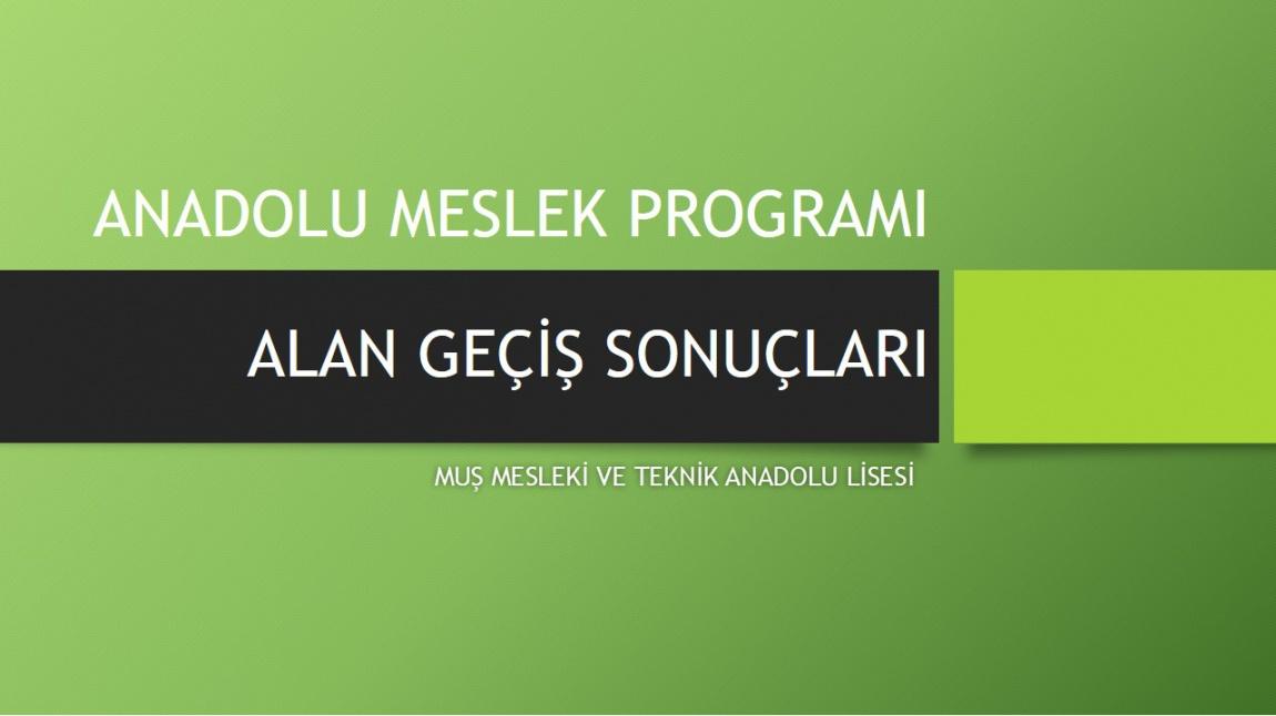 Anadolu Meslek Programı Alan Geçiş Sonuçları